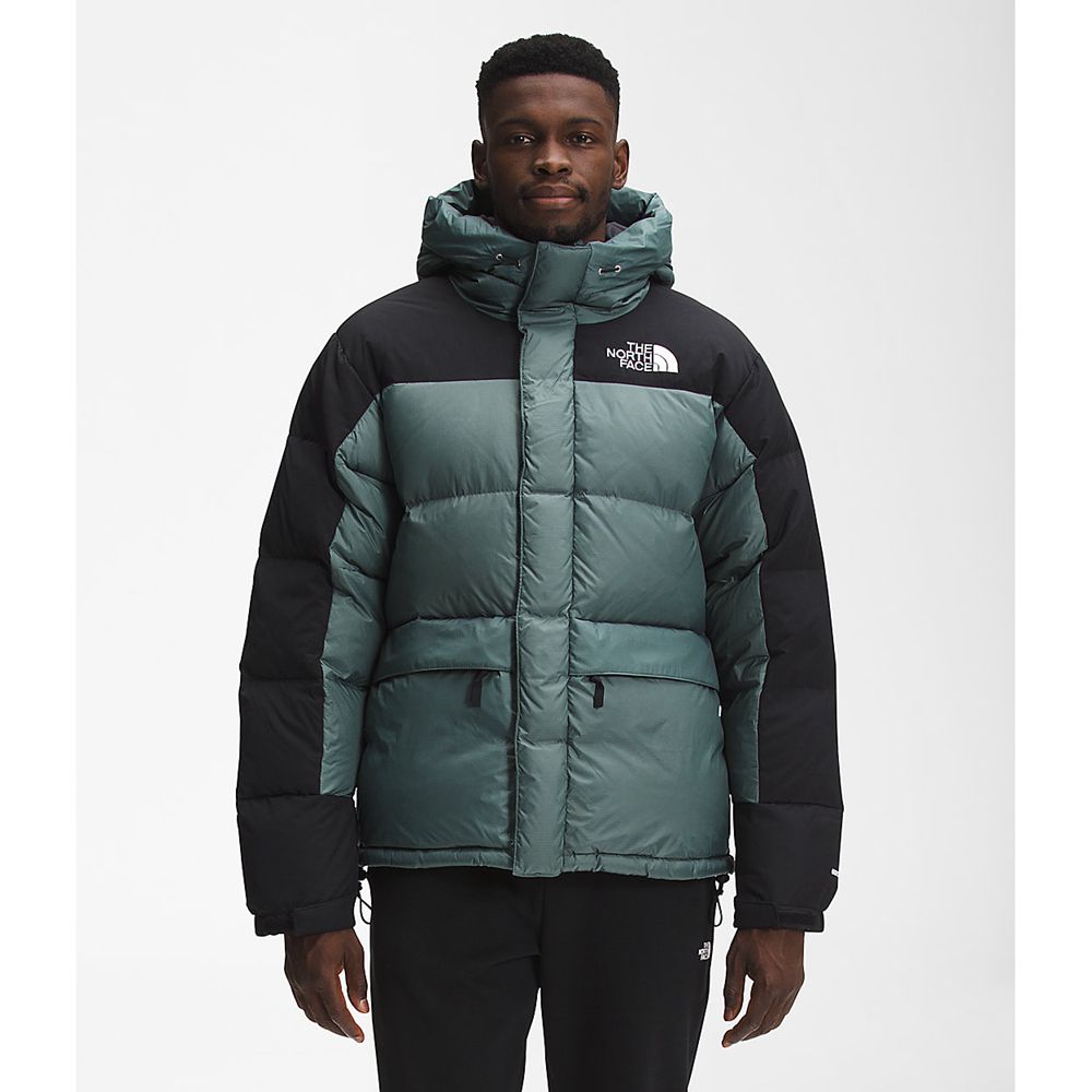 The North Face Parka Mens Australia - The North Face Hmlyn Green (HKW-917042)